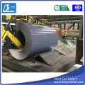 Ral Color Prepainted Galvanied Steel Coil